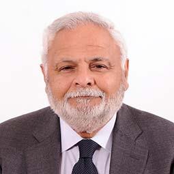 WAGUIH HANAFI