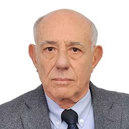 Mahmoud El Gowini